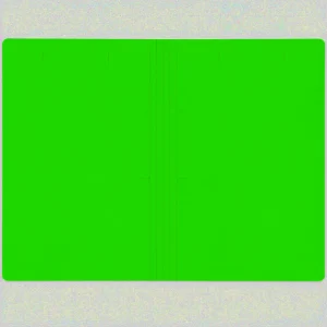 پوشه سلفونی مقوایی چرمی (سبز)